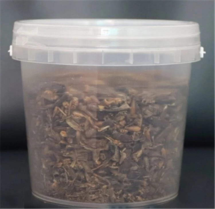 Reptile Feed