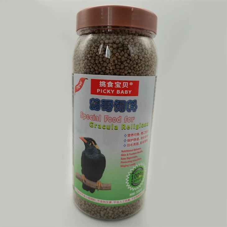Premium Gracula Religiosal Feed ptica
