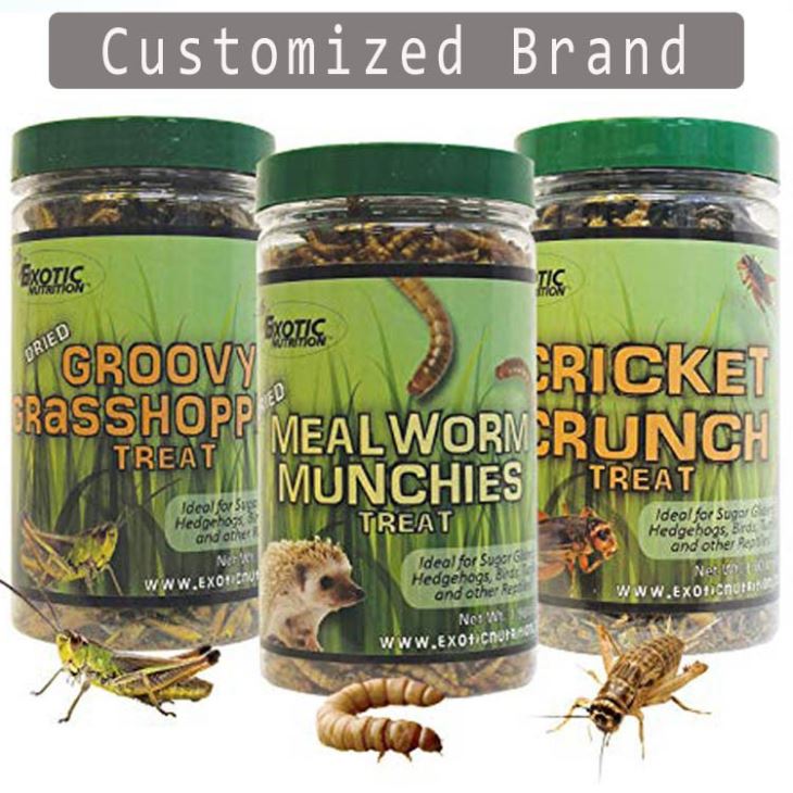 Dried Crickets Dried Crickets
