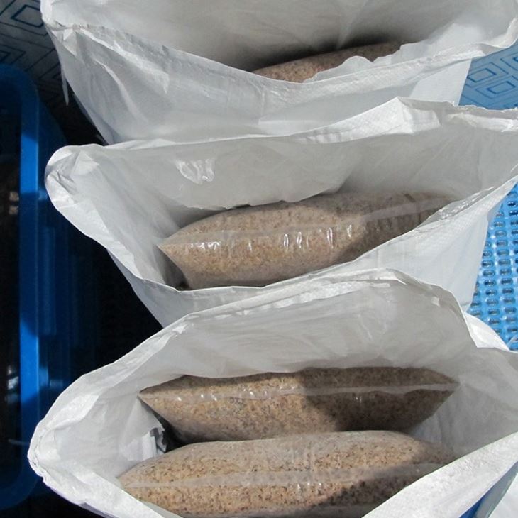 Frozen Maggots Fish Food