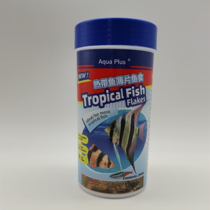 Tropical Fish Flakes for Export factory